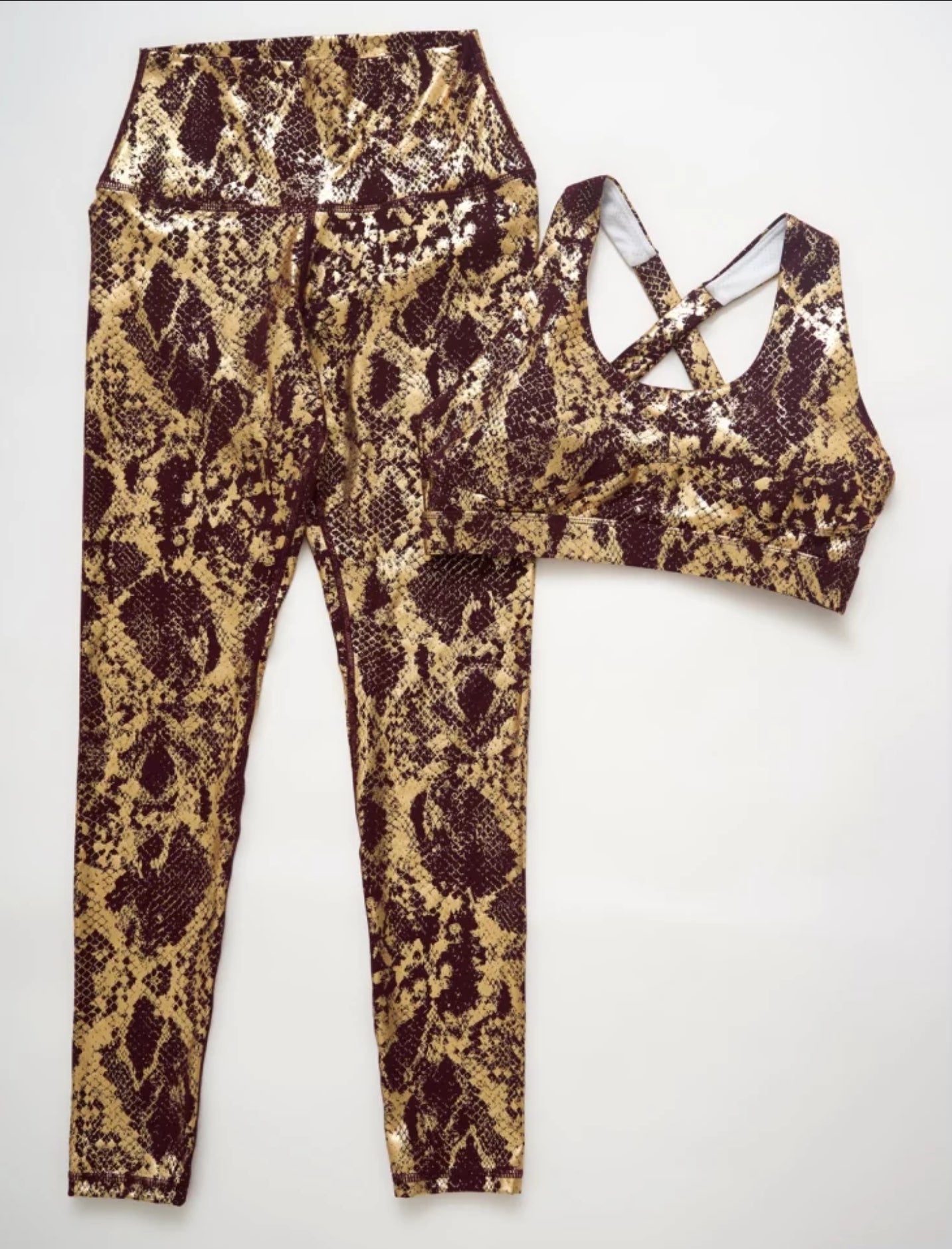 Snake  Print Gym Set