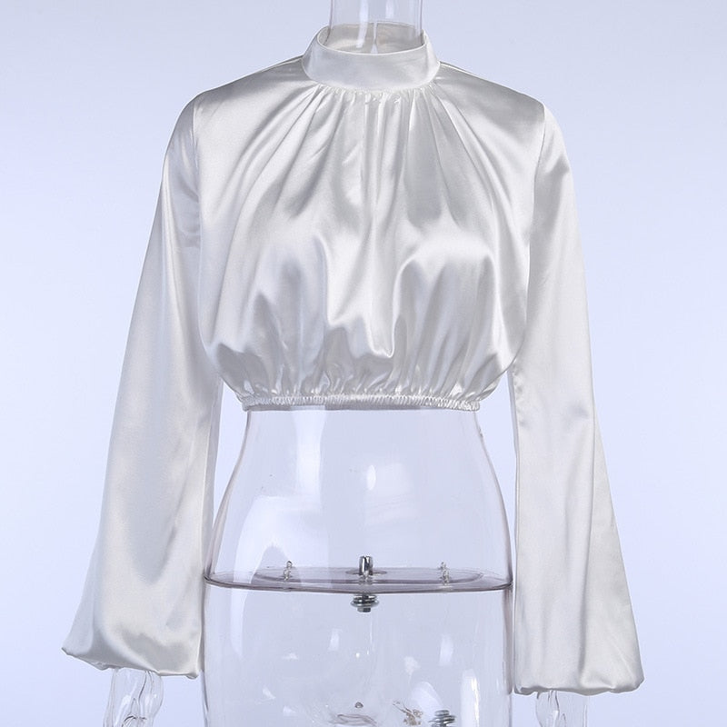 Stand Collar Lantern Sleeve Cropped Tops