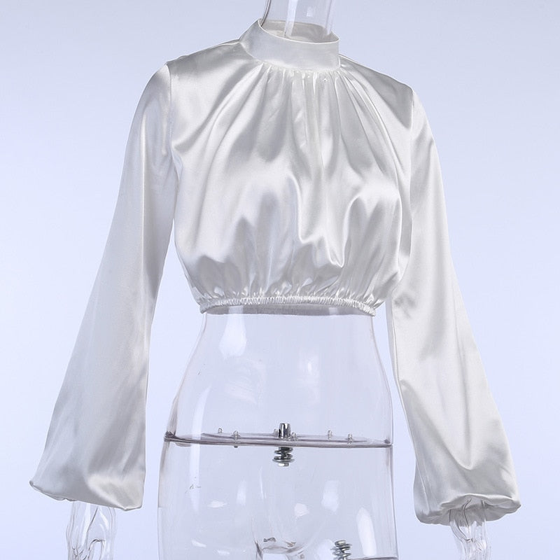 Stand Collar Lantern Sleeve Cropped Tops