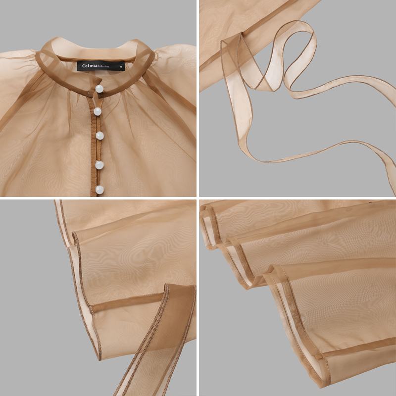 Sheer Long Sleeve Casual Buttons Blouse