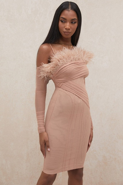 Pink Mesh Sleeves Elegant Feather Dresses