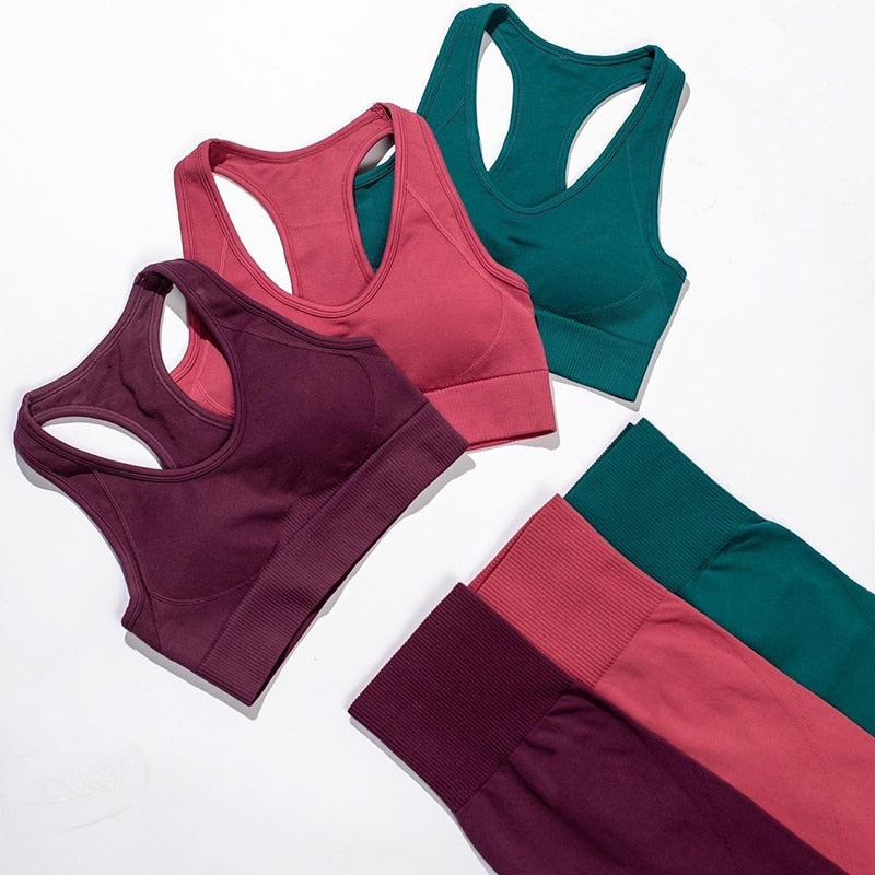 Ziba Seamless Yoga Set