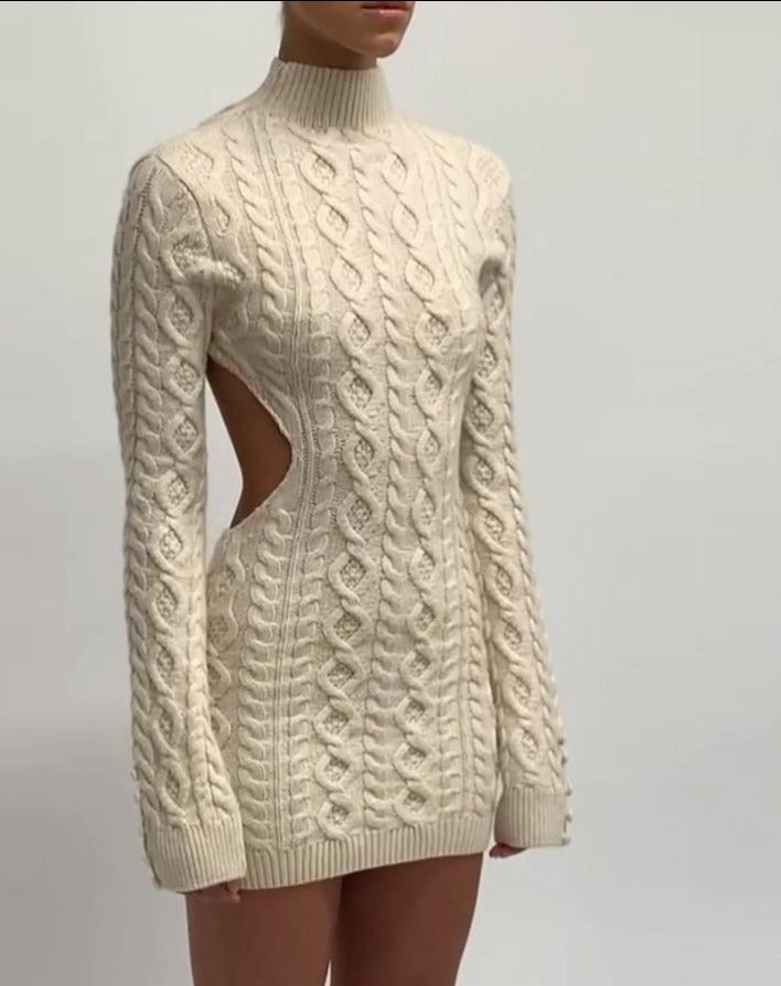 Klien Long Sleeve Turtleneck Sweater Dress