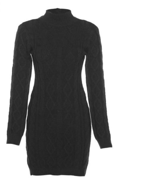 Klien Long Sleeve Turtleneck Sweater Dress